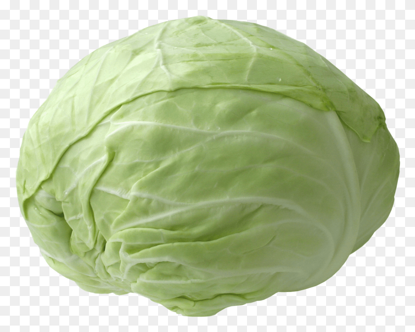 1092x859 Cabbage Picture Cabbage, Plant, Vegetable, Food HD PNG Download
