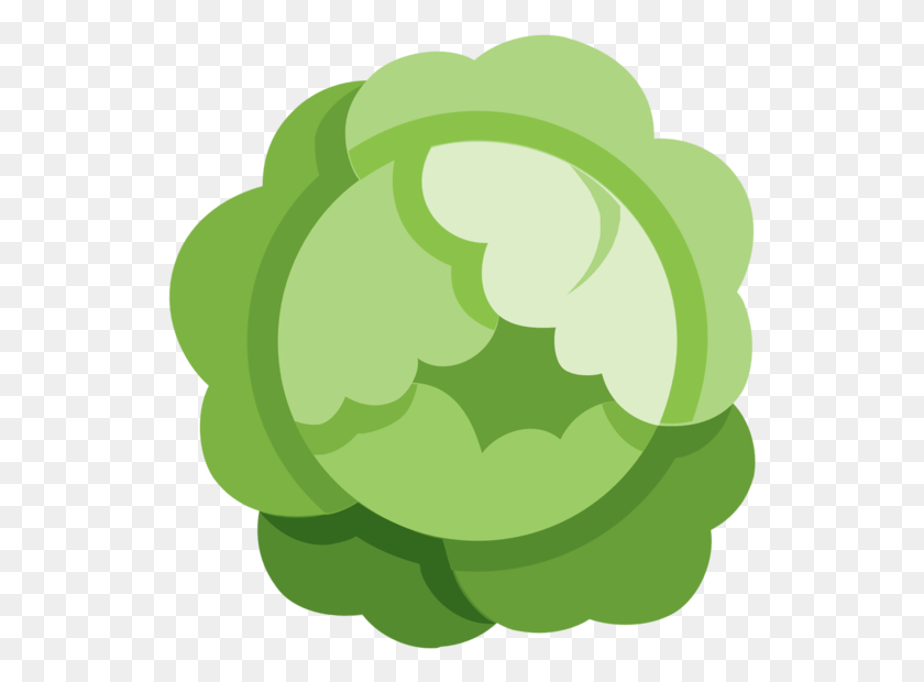 535x560 Cabbageco, Green, Text, Graphics HD PNG Download