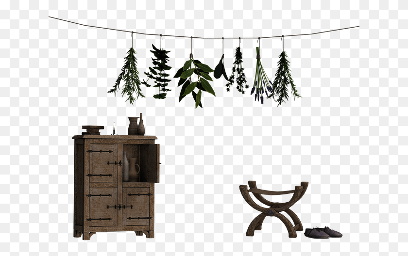 641x468 Cabinet Komode Stool Shoes Leash Herbs Stool, Tree, Plant, Fir HD PNG Download