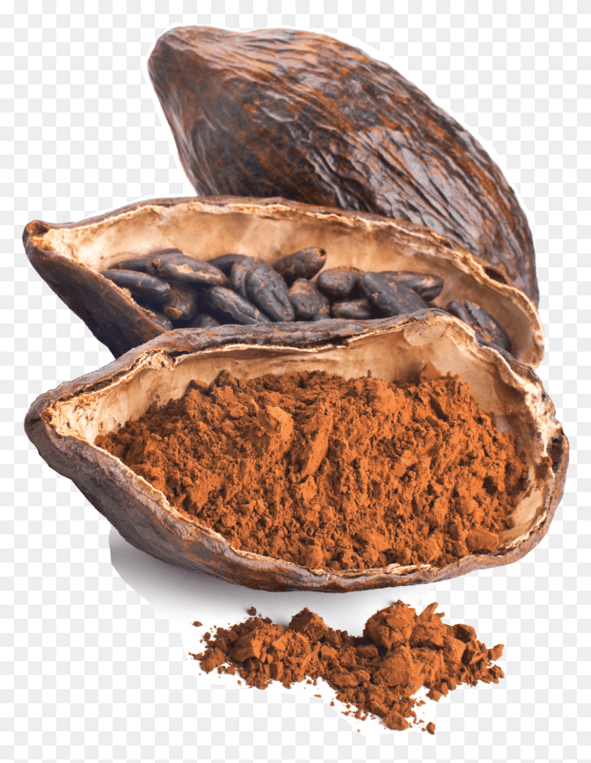 808x1062 Descargar Png / Cacao En Grano De Cacao, Fudge, Chocolate, Postre Hd Png