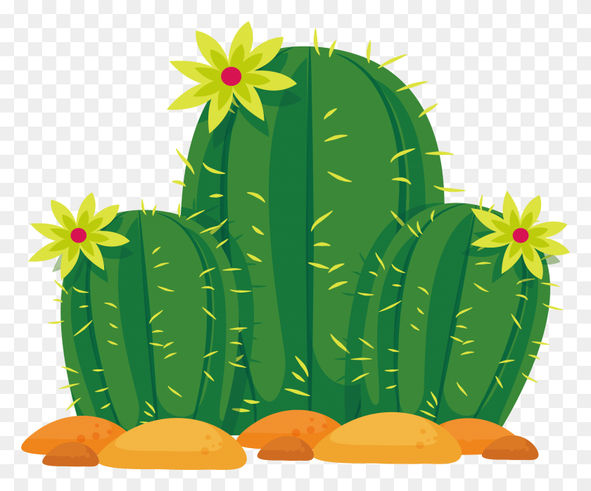 3271x2676 Cactaceae Sonoran Desert Euclidean Vector Cactus Vector, Plant HD PNG Download