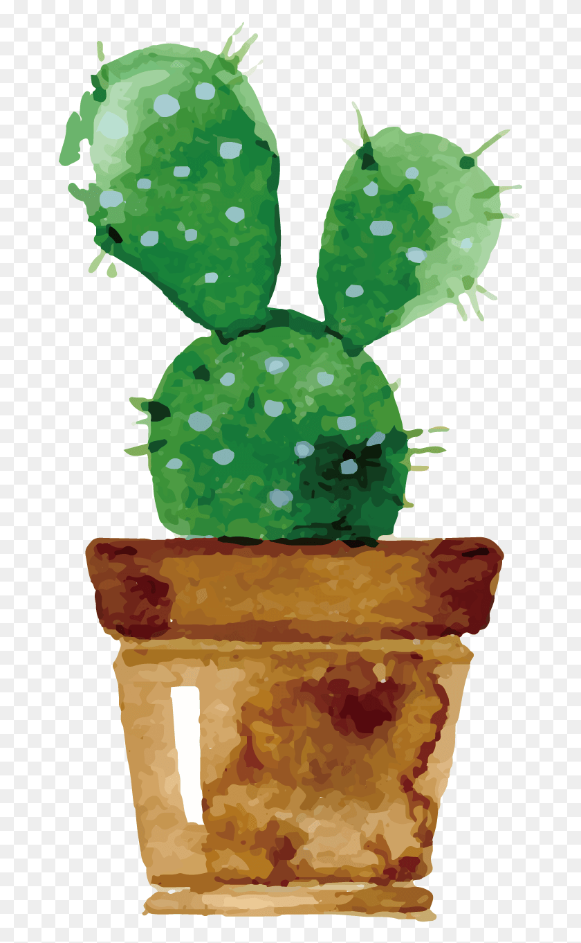 671x1302 Cactaceae Watercolor Painting Drawing Succulent Plant Cactus Acuarela Para Imprimir, Sweets, Food, Confectionery HD PNG Download