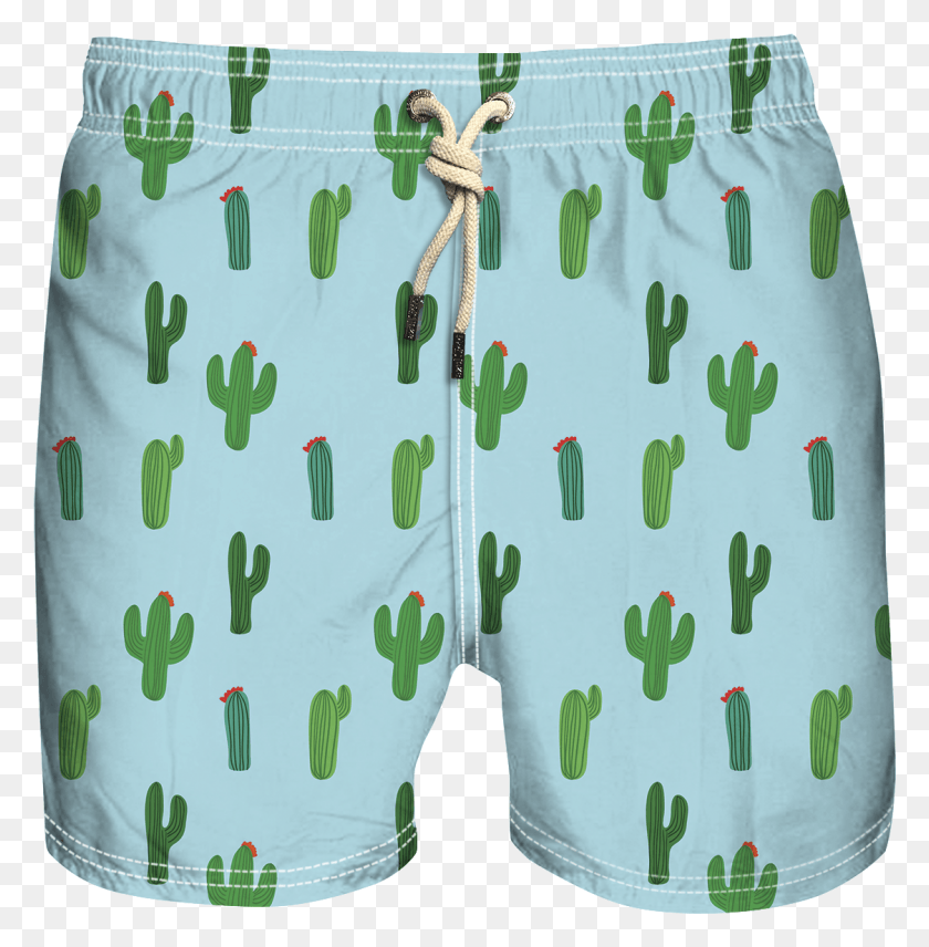 1123x1147 Cactus, Shorts, Clothing, Apparel HD PNG Download