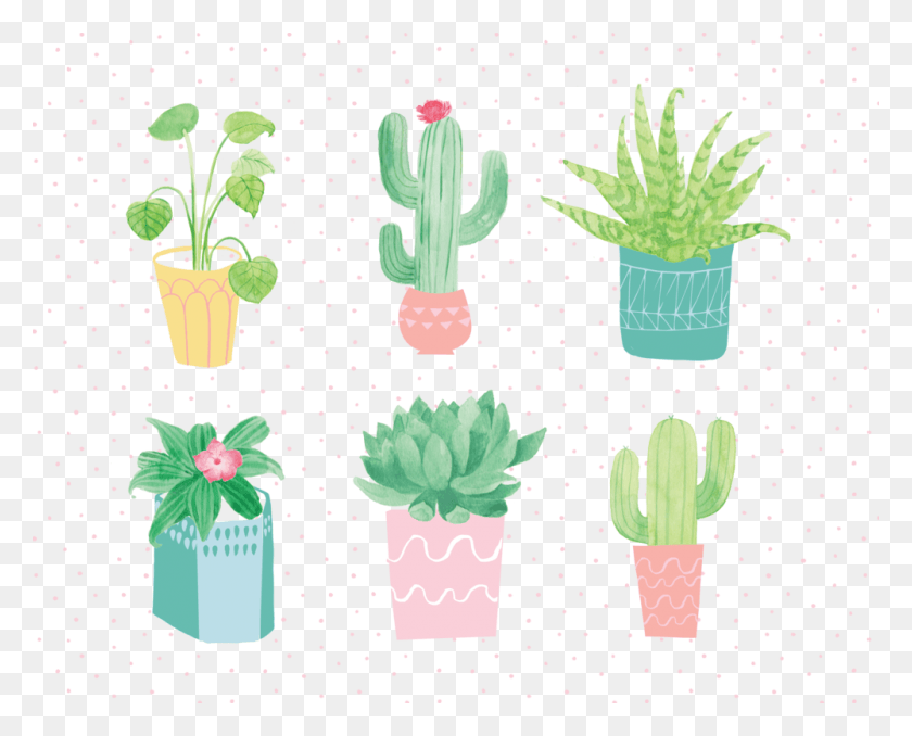 1000x793 Cactus, Plant HD PNG Download