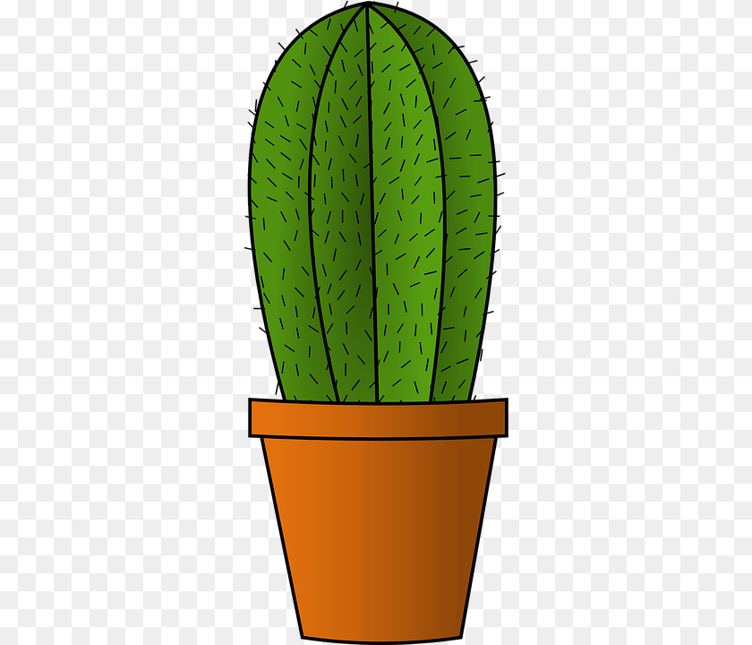 360x720 Cactus, Plant Sticker PNG