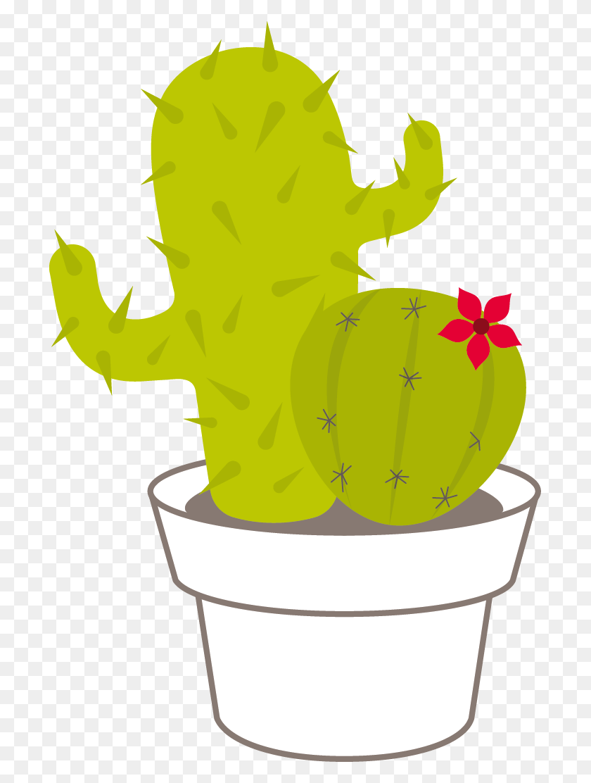 699x1052 Descargar Png Cactus Anewspring Puede Inspirarlo A La Ilustración, Planta, Hoja Hd Png