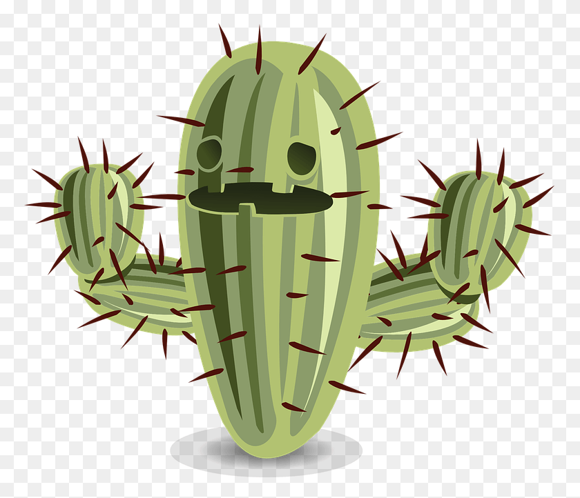 771x662 Cactus Clipart Cactus, Plant HD PNG Download