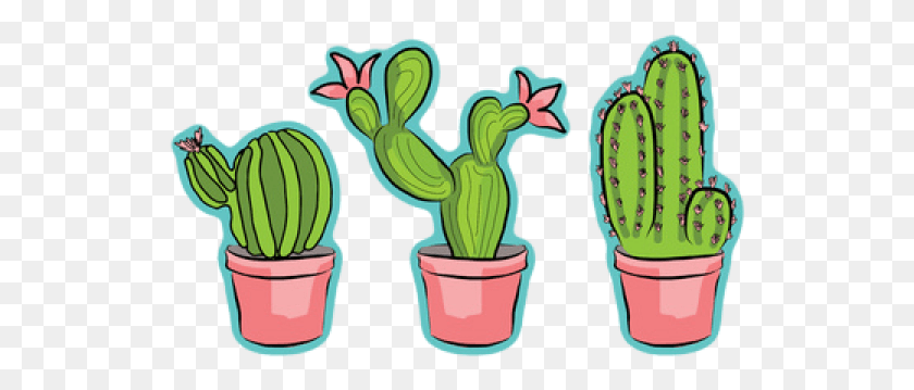 530x299 Cactus Clipart Little Cactus, Plant HD PNG Download