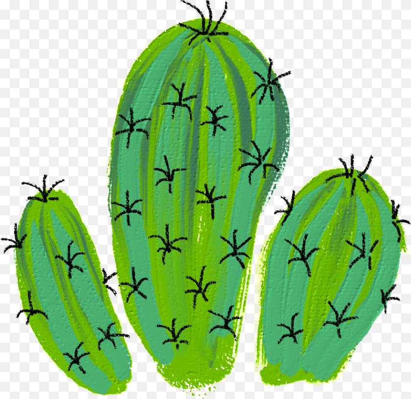 879x853 Cactus Desert Plant Green Spins Flower Decoration Banana, Food, Produce Transparent PNG