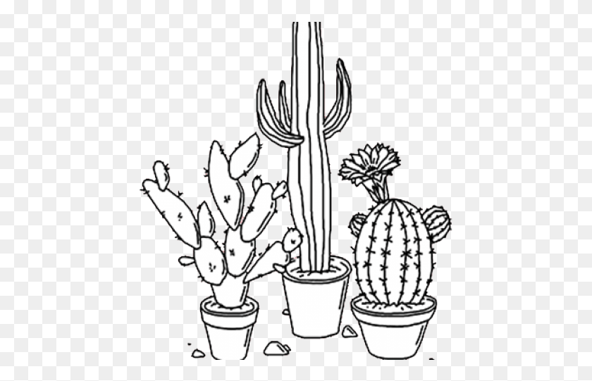 449x481 Cactus Drawing Transparent, Plant, Lamp, Chandelier HD PNG Download