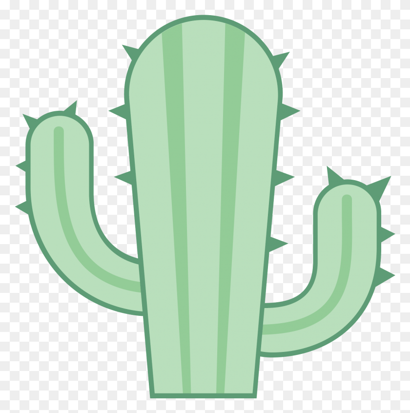 1509x1521 Cactus Kaktus, Plant HD PNG Download