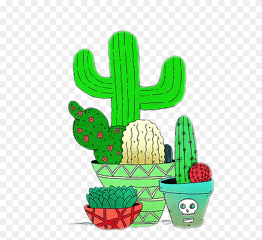 532x708 Кактус Мексиканский Мексиканский Зеленый Верде Freetoedit Оверлеи Прозрачные Наложения, Растение Hd Png Скачать