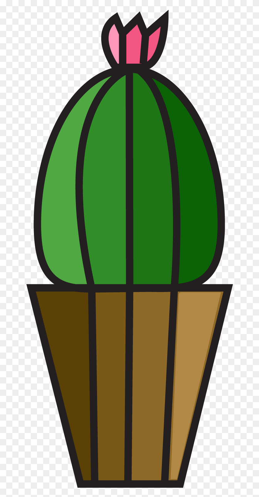 672x1547 Cactus Plant Cacti Flower 1646471 Flor Do Cacto, Vehicle, Transportation, Aircraft HD PNG Download