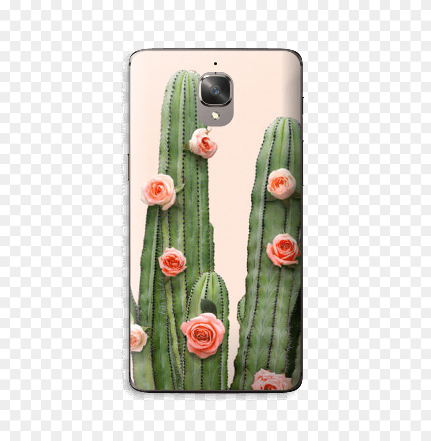 412x800 Descargar Pngcactus Rose Skin Oneplus Imgenes De Cactus Floreando, Planta, Monedero, Bolso Hd Png