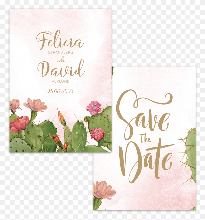 1154x1248 Cactus Save The Date Greeting Card, Envelope, Mail, Greeting Card HD PNG Download