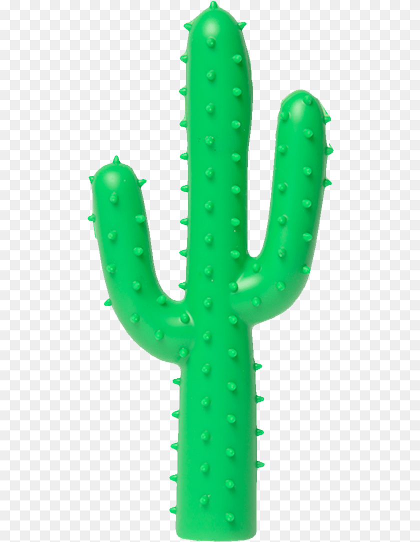 495x1083 Cactus Toy, Plant PNG