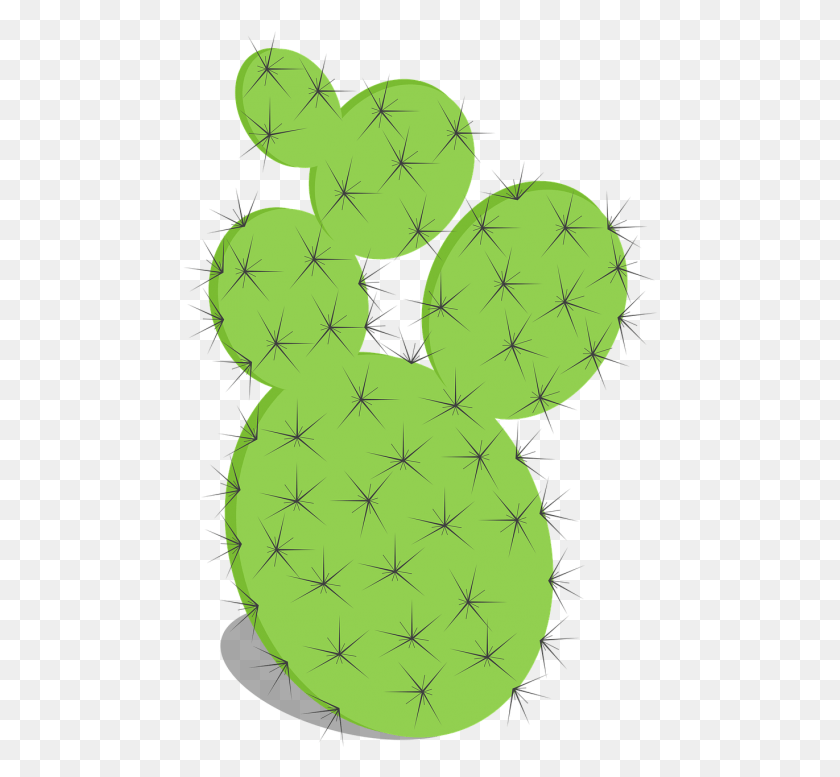 476x717 Cactusprickly Fico D India, Plant, Cactus HD PNG Download