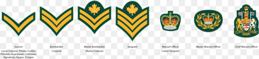 969x222 Cadet Ncm Ranks, Logo, Emblem, Symbol Transparent PNG
