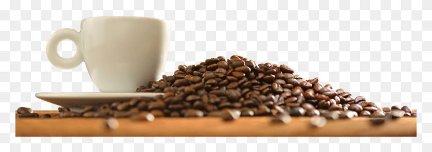 1200x365 Кафе, Чашка Кофе, Чашка, Растение Hd Png Скачать