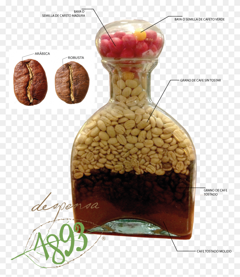 1178x1372 Cafe Proceso Cafe Proceso, Plant, Jar, Vase HD PNG Download
