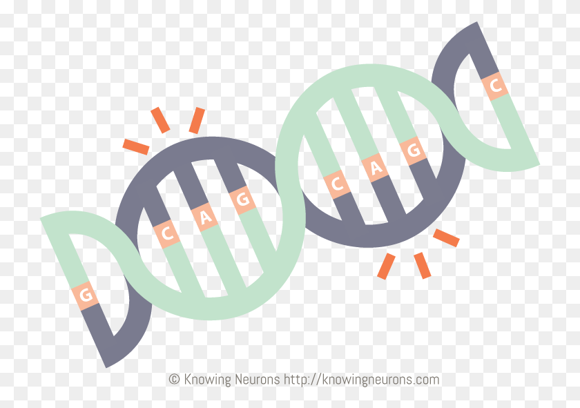 727x531 Cag Repeats By Knowing Neurons Cag Repeats, Text, Symbol, Dynamite HD PNG Download