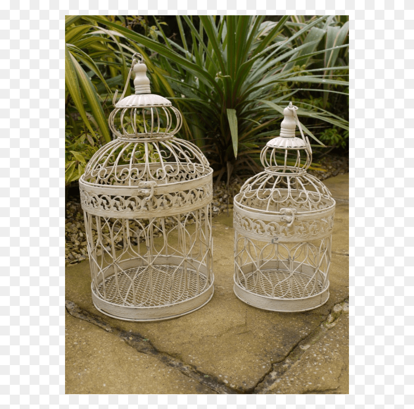 577x769 Cage, Outdoors, Plant, Garden HD PNG Download