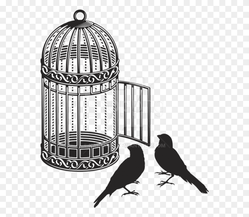 572x671 Cage Bird Clipart Photo, Text, Tin, Can HD PNG Download