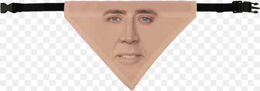 991x349 Cage Face Pet Bandana Nicolas Cage, Accessories, Triangle, Adult, Person Transparent PNG