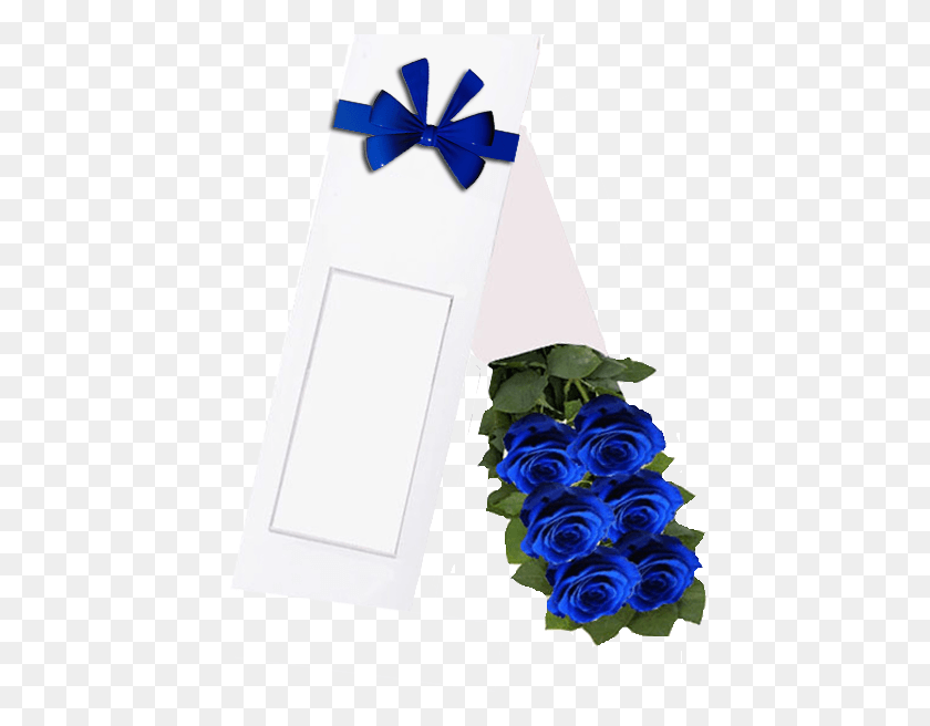 451x596 Caja 6 Rosas Azules Rosas Azules Para Hombres, Растение, Цветок, Цветение Png Скачать