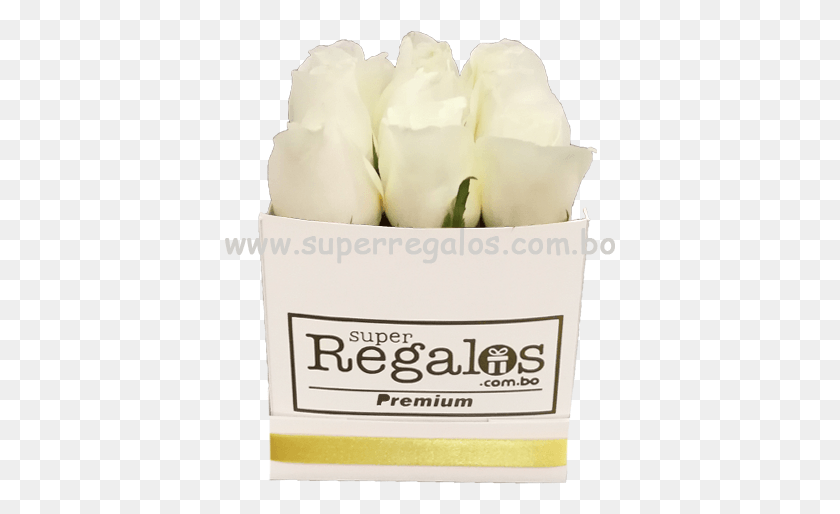 391x454 Caja Cuadrada Con Rosas 9 Blancas Superregalos Artificial Flower, Plant, Blossom, Petal HD PNG Download