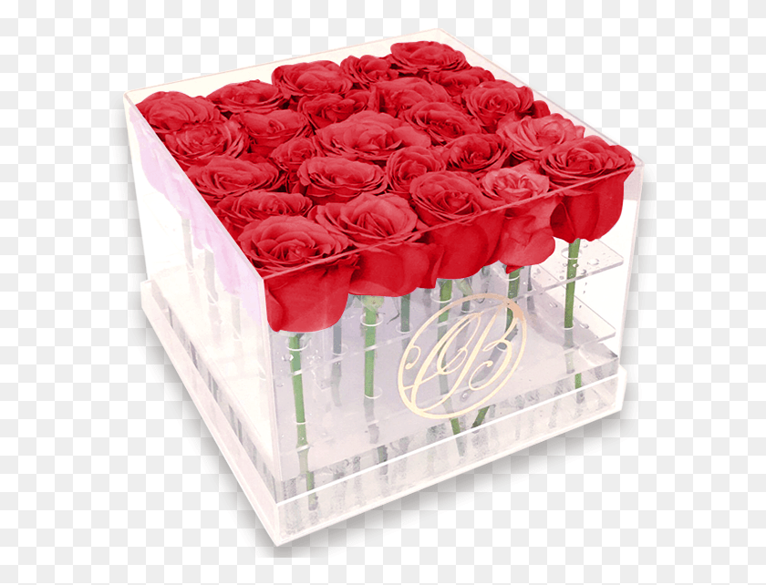 601x582 Descargar Png Caja De Acrlico Rosas Rojas Caja De Acrilico Para Rosas, Rose, Flor, Planta Hd Png