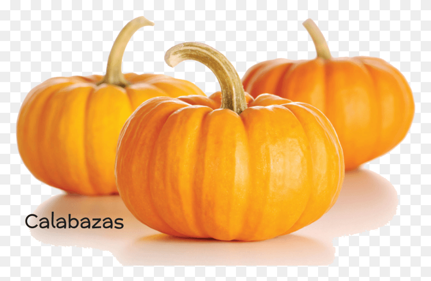 1527x957 Calabaza, Plant, Pumpkin, Vegetable HD PNG Download