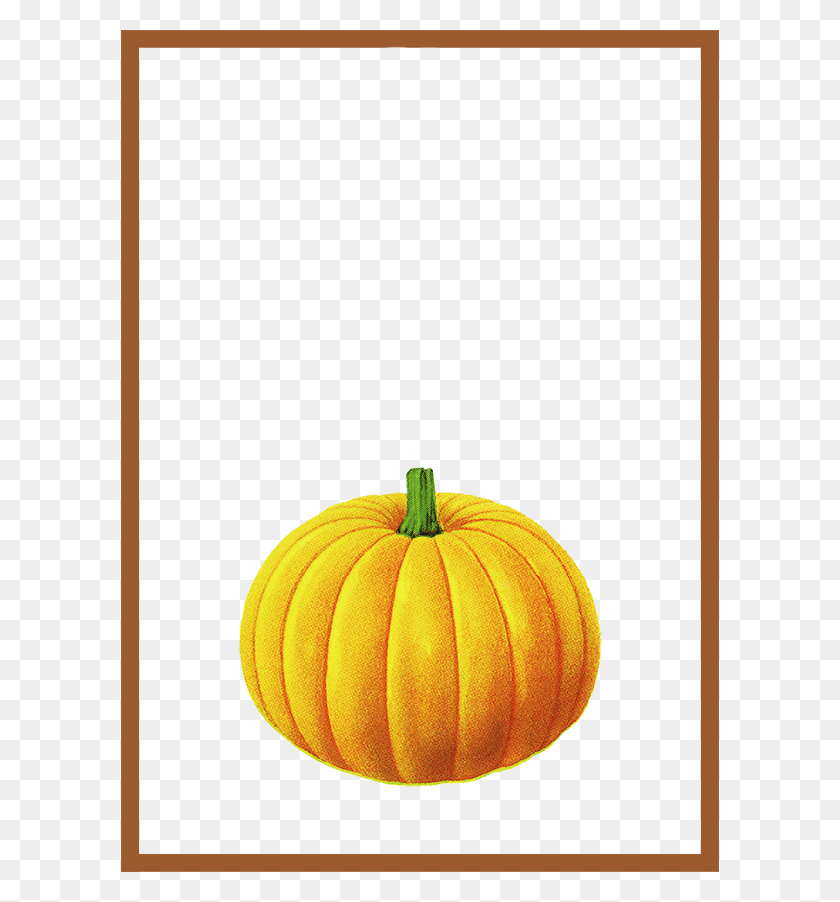 598x842 Calabaza Brown Simple Frame Texture Transprent Free Pumpkin, Vegetable, Plant, Food HD PNG Download