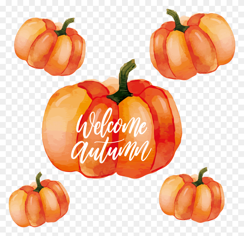 3099x2991 Calabaza Habanero Painting Poster Water Color Pumpkin, Plant, Pepper, Vegetable HD PNG Download