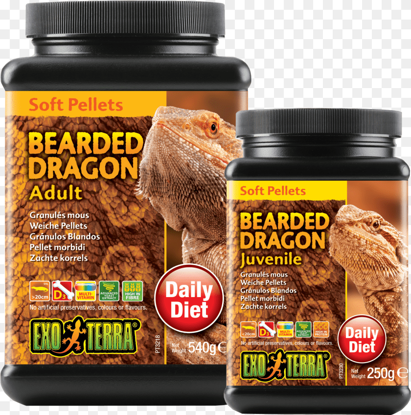 Calcium Powder Bearded Dragon, Jar, Animal, Lizard, Reptile Transparent PNG