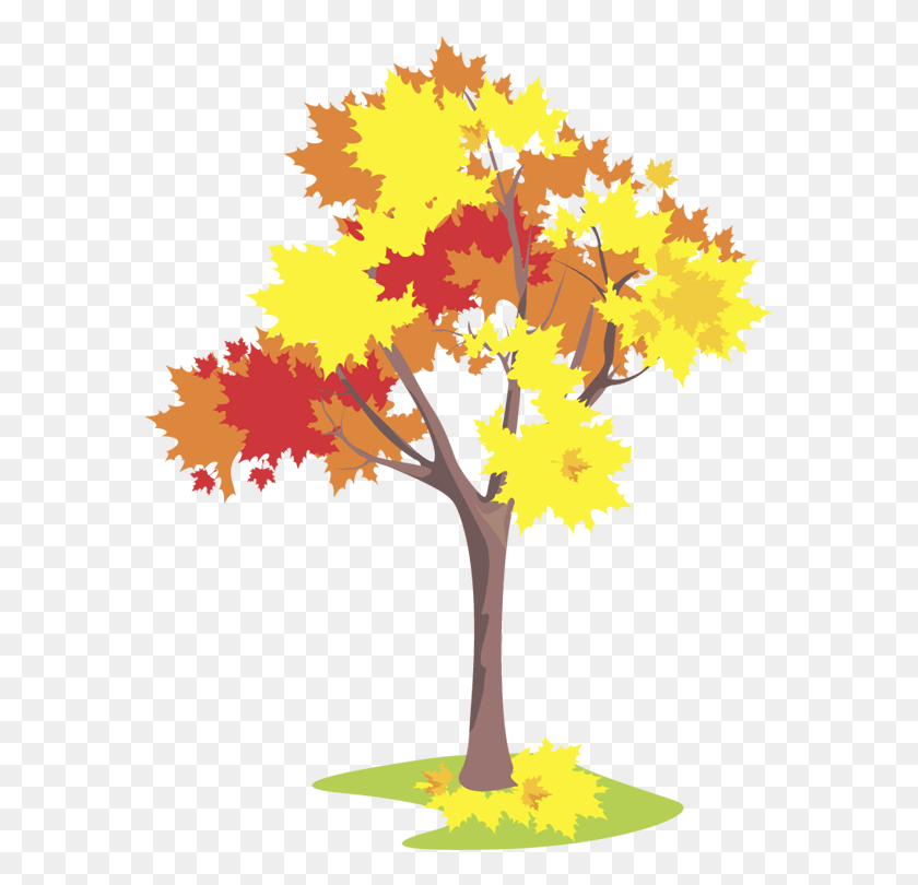 574x750 Calendar Autumn Tree Flashcards, Leaf, Plant, Maple HD PNG Download