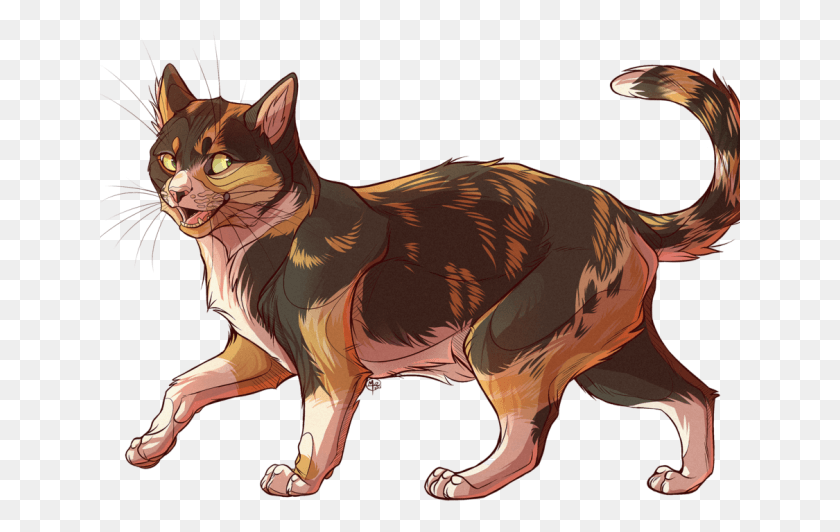 641x472 Calico Cat Clipart Realistic Cat Semi Realistic Cat Drawing, Mammal, Animal, Wolf HD PNG Download