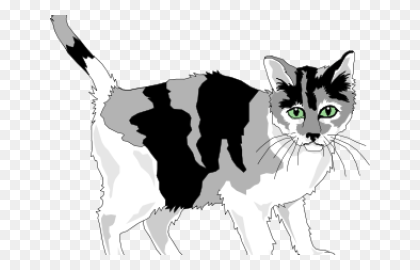 640x480 Calico Cat Clipart White Grey And White Cat Clipart, Mammal, Animal, Cattle HD PNG Download