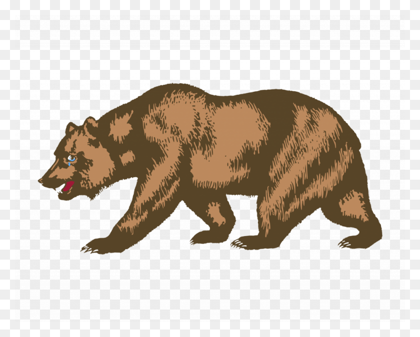 1024x808 Калифорнийский Медведь Калифорнийский Гризли Рисунок, Живая Природа, Млекопитающее, Животное Png Скачать