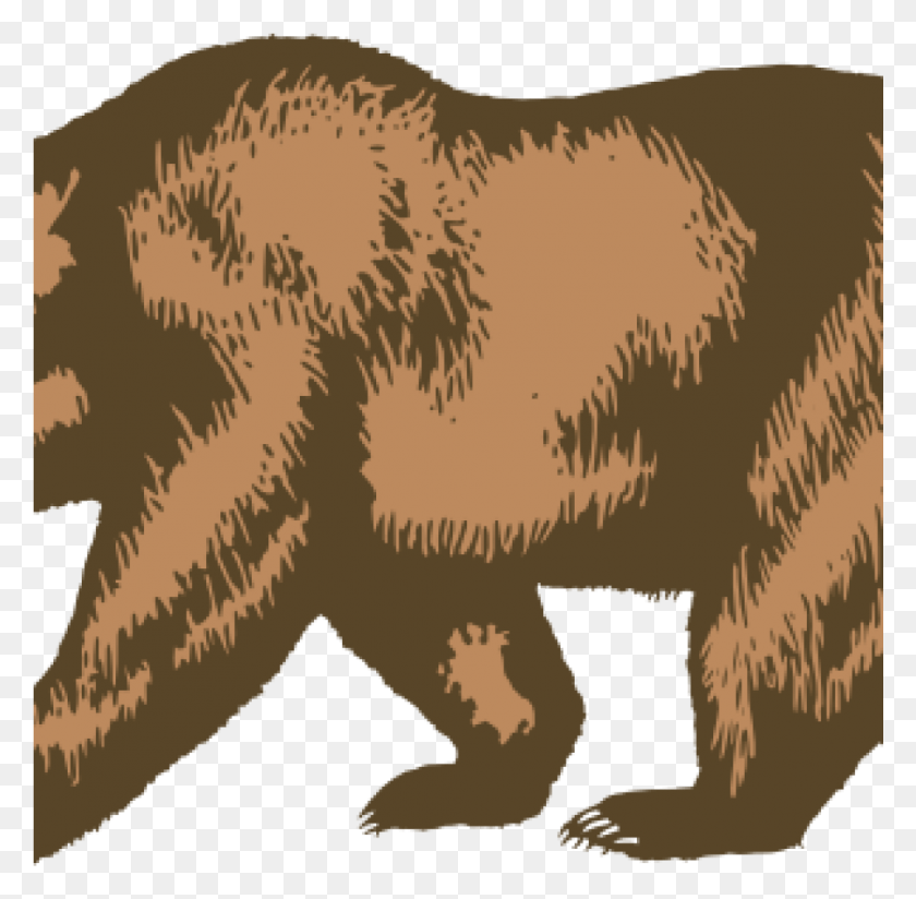 1025x1005 California Bear Outline Clip Art At Clker Vector Online California Republic, Bear, Wildlife, Mammal HD PNG Download