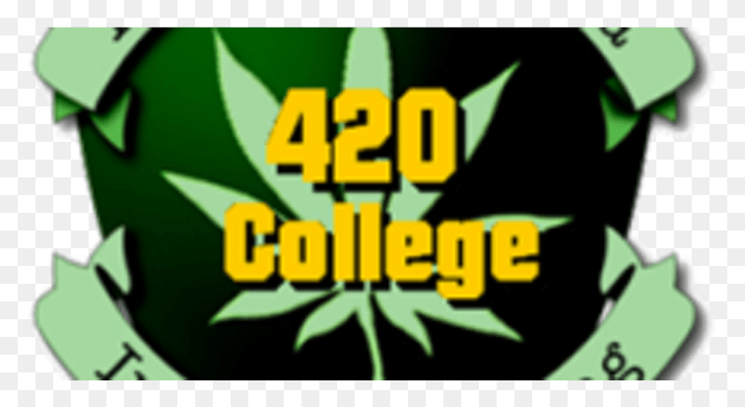 979x501 Калифорнийский Колледж Для 420, Текст, Растение, Горшечное Растение Hd Png Скачать