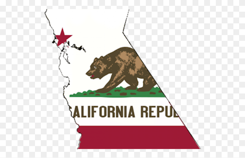 540x481 California Flag Clipart State Flag California Flag No Bear Arms, Mammal, Animal, Wildlife HD PNG Download