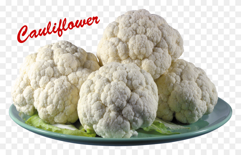 1592x980 California License Plate 2010, Plant, Cauliflower, Vegetable HD PNG Download