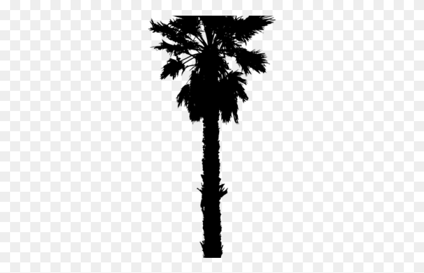 255x481 California Palm Tree Silhouette, Gray, World Of Warcraft HD PNG Download