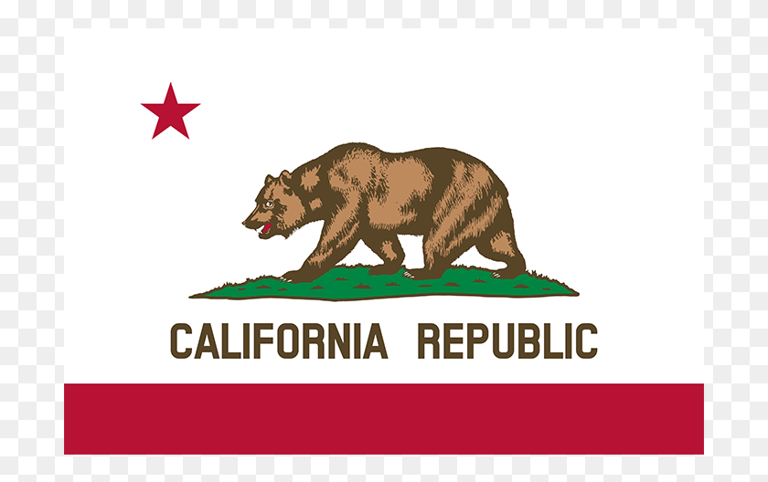 701x468 California State Flag, Mammal, Animal, Brown Bear HD PNG Download