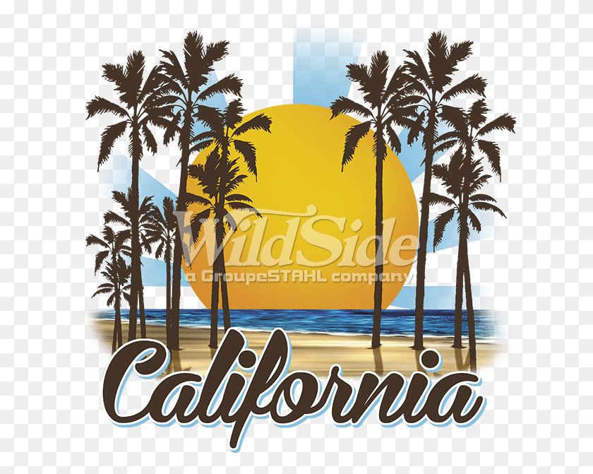 632x611 California Sunny Beach Stock Transfer Palm Tree Silhouette Clip Art, Tree, Plant, Arecaceae HD PNG Download
