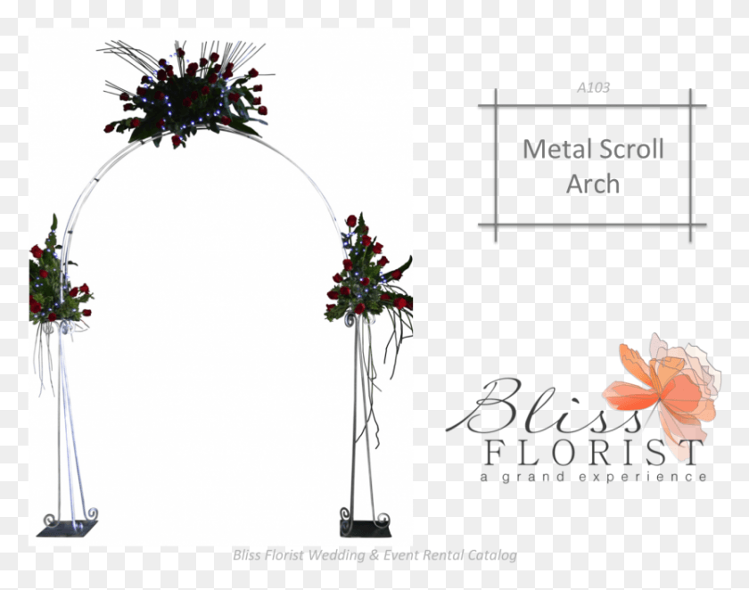 834x644 Call For Pricing Amp Availability Details Illustration, Plant, Tree, Floral Design Descargar Hd Png