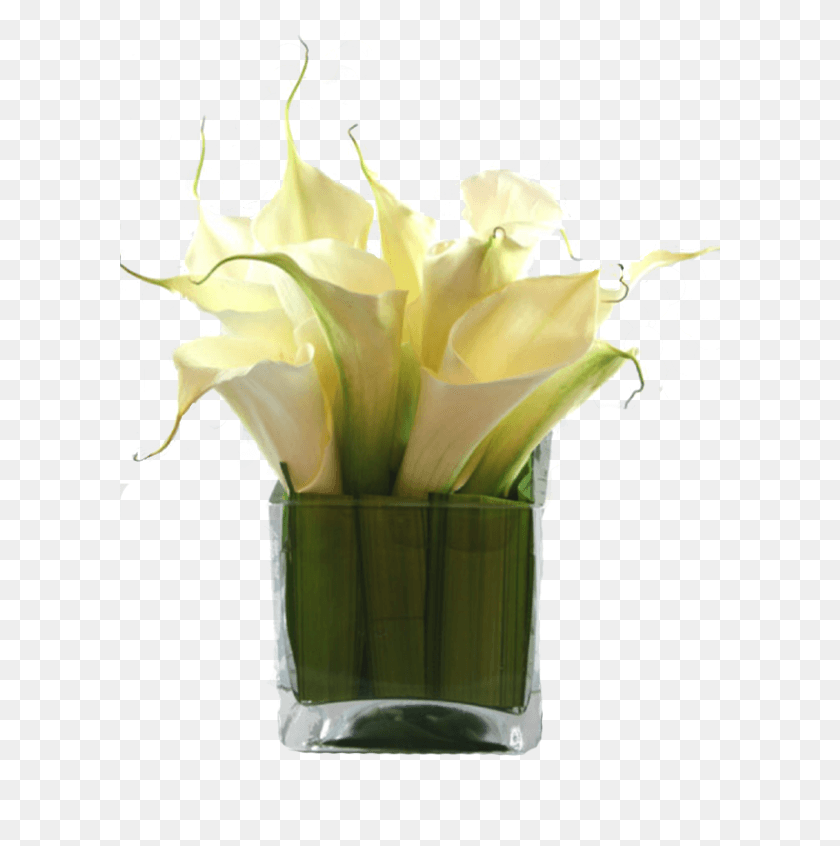 601x786 Calla Lily Calla Lily Vase Arrangements Small, Plant, Flower, Blossom HD PNG Download