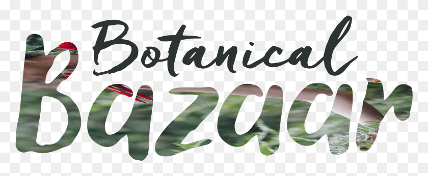 2121x778 Caligrafía, Texto, Escritura A Mano, Alfabeto Hd Png