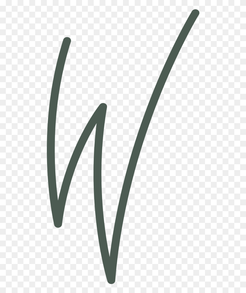 Caligrafía, Texto, Palabra, Planta Hd Png